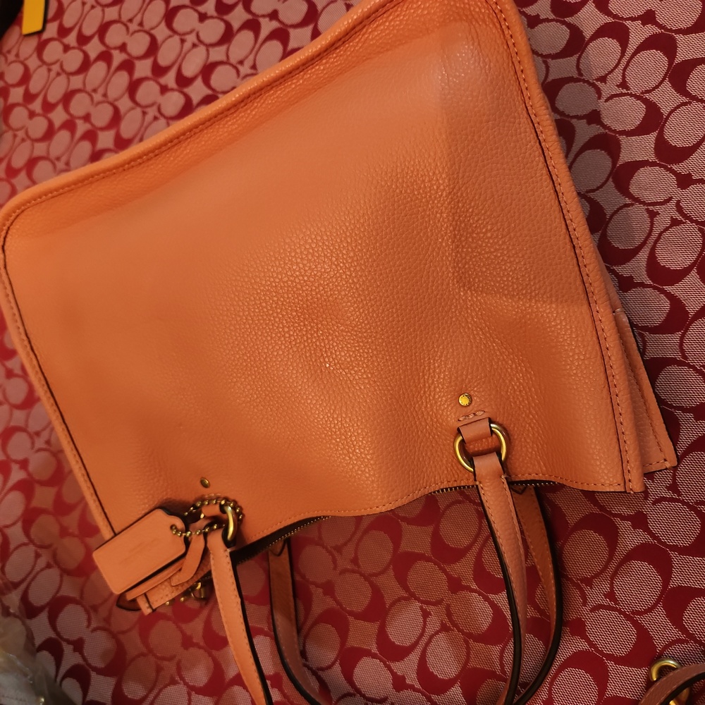 Coach Bodybag - Picture 6 of 6